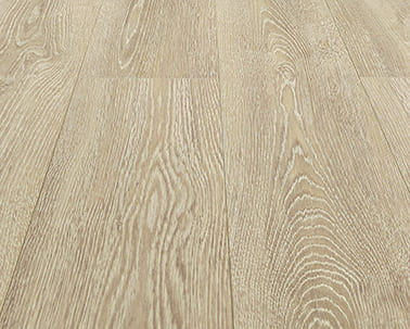 dub-letnee-utro-91790b-1